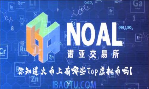 你知道火币上有哪些Top虚拟币吗？