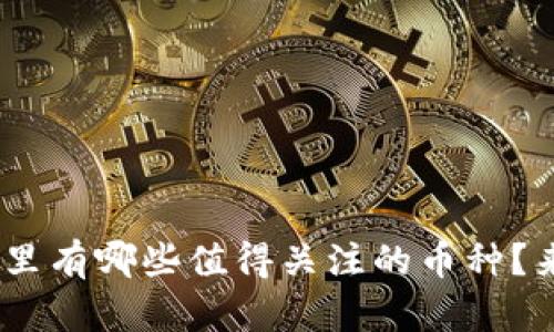 Tokenim里有哪些值得关注的币种？来看看吧！