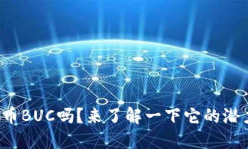 你知道虚拟币BUC吗？来了解一下它的潜力与未来吧！