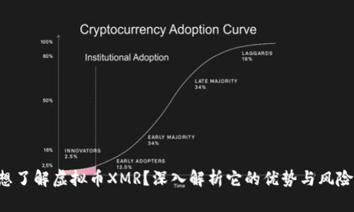 想了解虚拟币XMR？深入解析它的优势与风险！