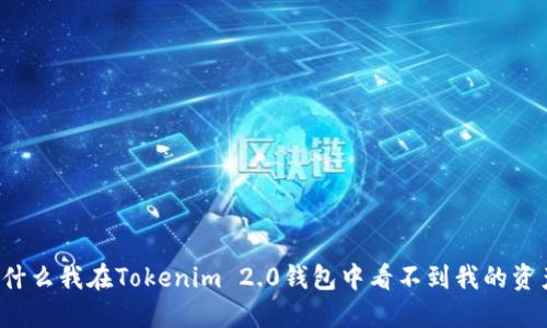 为什么我在Tokenim 2.0钱包中看不到我的资产？