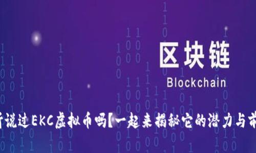: 你听说过EKC虚拟币吗？一起来揭秘它的潜力与前景吧！