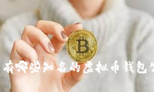 国内有哪些知名的虚拟币钱包公司？