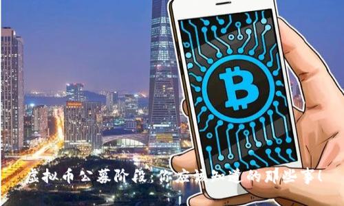 虚拟币公募阶段：你应该知道的那些事！