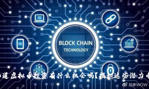你知道虚拟币投资有什么机会吗？揭秘这些潜力币种！