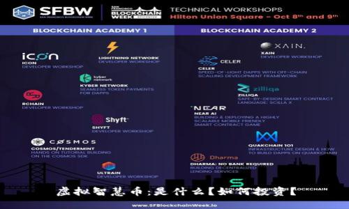 虚拟智慧币：是什么？如何投资？