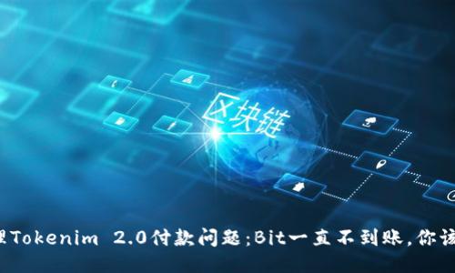如何处理Tokenim 2.0付款问题：Bit一直不到账，你该怎么办？