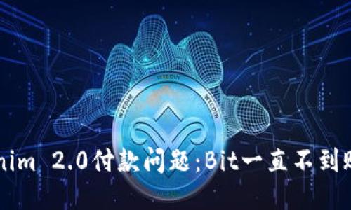 如何处理Tokenim 2.0付款问题：Bit一直不到账，你该怎么办？