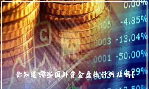 你知道哪些国外资金盘统计网站吗？