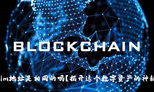 Tokenim地址是相同的吗？揭开这个数字资产的神秘面纱！