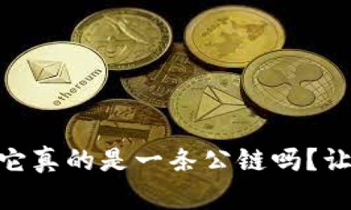 Tokenim 2.0：它真的是一条公链吗？让我们深入探讨！
