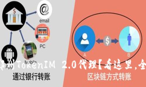 想了解郑州TokenIM 2.0代理？看这里，全面解析！