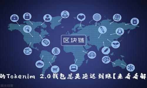 为什么我的Tokenim 2.0钱包总是延迟到账？来看看解决方案吧！