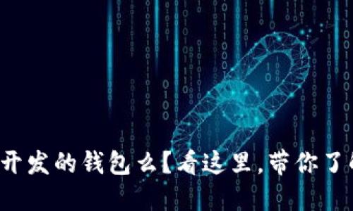 你知道以太坊开发的钱包么？看这里，带你了解最全的选择！