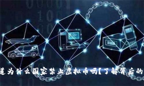 你知道为什么国家禁止虚拟币吗？了解背后的原因！