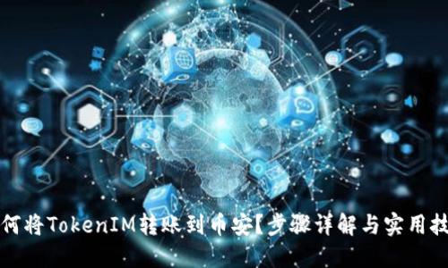 如何将TokenIM转账到币安？步骤详解与实用技巧