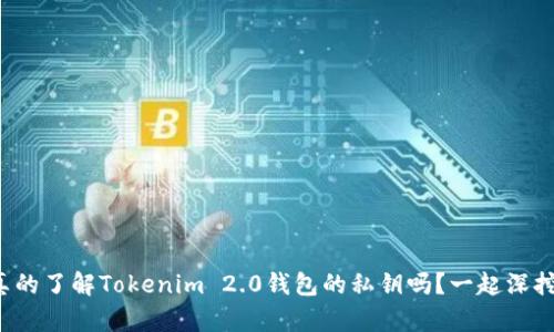 你真的了解Tokenim 2.0钱包的私钥吗？一起深挖吧！
