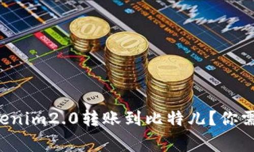 如何轻松把Tokenim2.0转账到比特儿？你需要知道的事项！