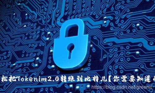 如何轻松把Tokenim2.0转账到比特儿？你需要知道的事项！