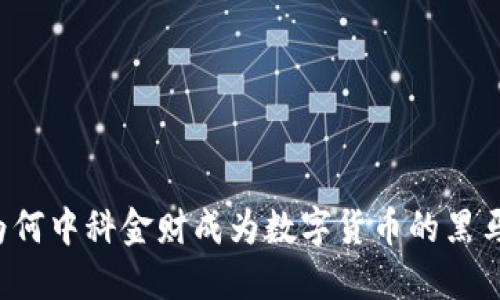 为何中科金财成为数字货币的黑马？