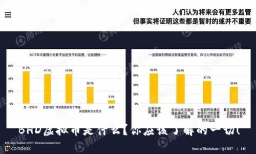 “BHD虚拟币是什么？你应该了解的一切！”